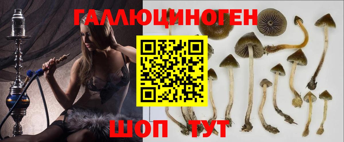 продажа наркотиков  Псилоцибиновые грибы MAGIC MUSHROOMS  Вход с VPN  Горячий Ключ 